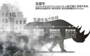 小心，中國產業(yè)園區(qū)的“灰犀牛”又來了！